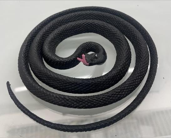 CZMAMB - 55" PVC Black Mamba Snakes (12pcs @ $0.95pc)